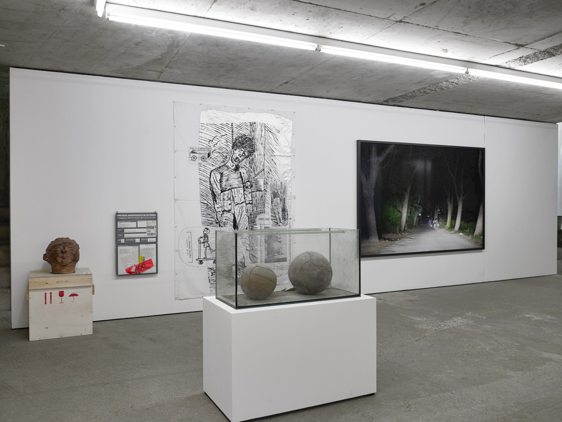 Exhibitions