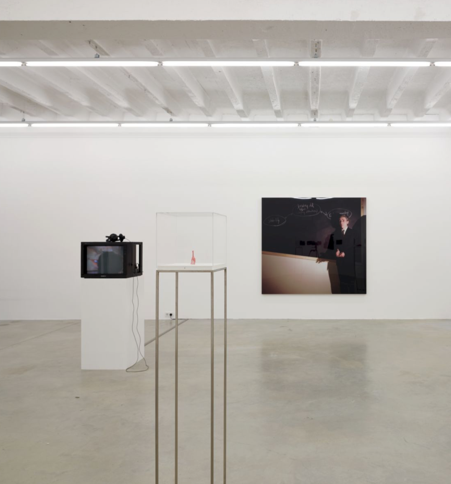 Exhibitions