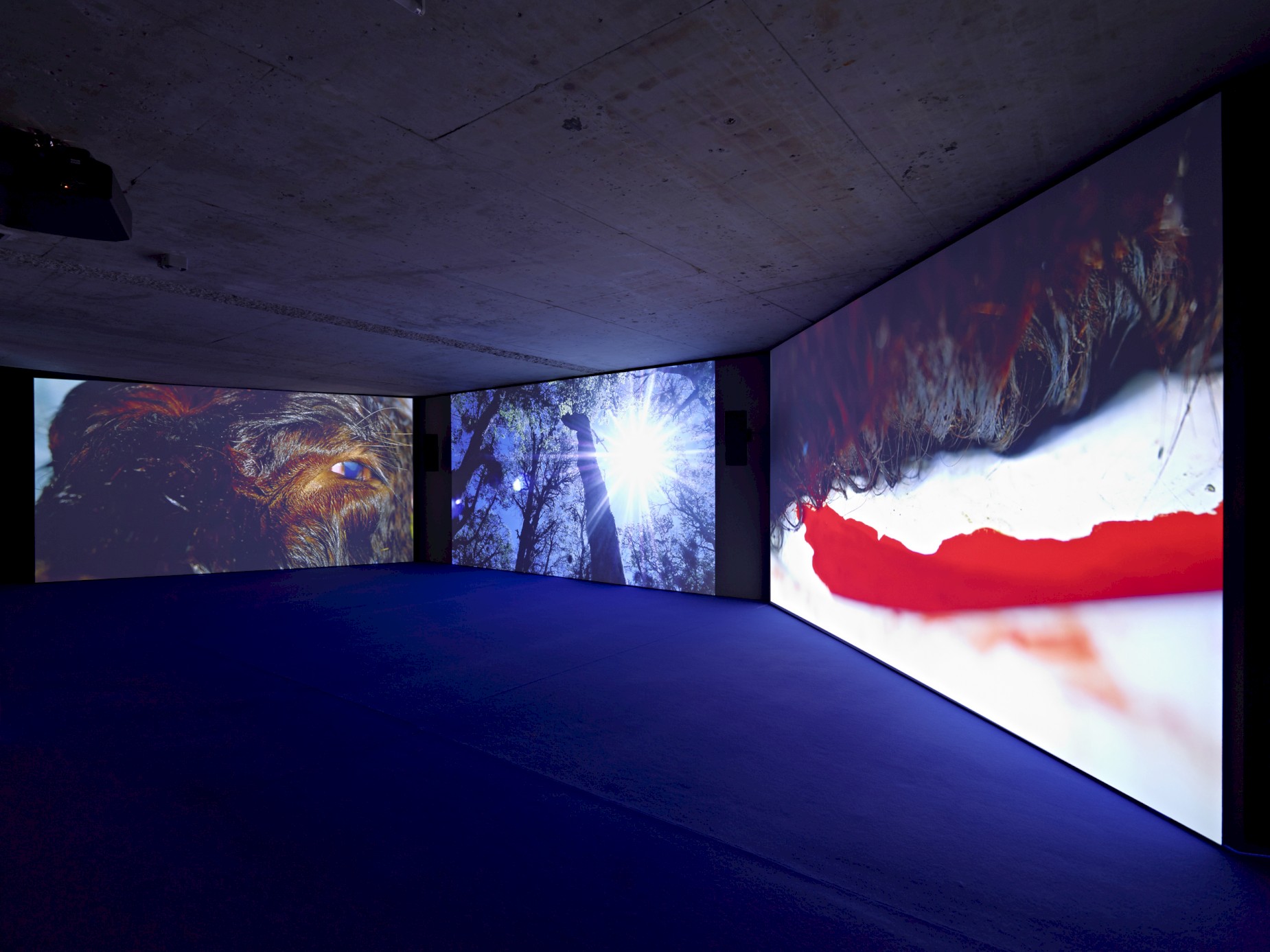 Mario Pfeifer. Approximation in the Digital Age to a Humanity Condemned to Disappear